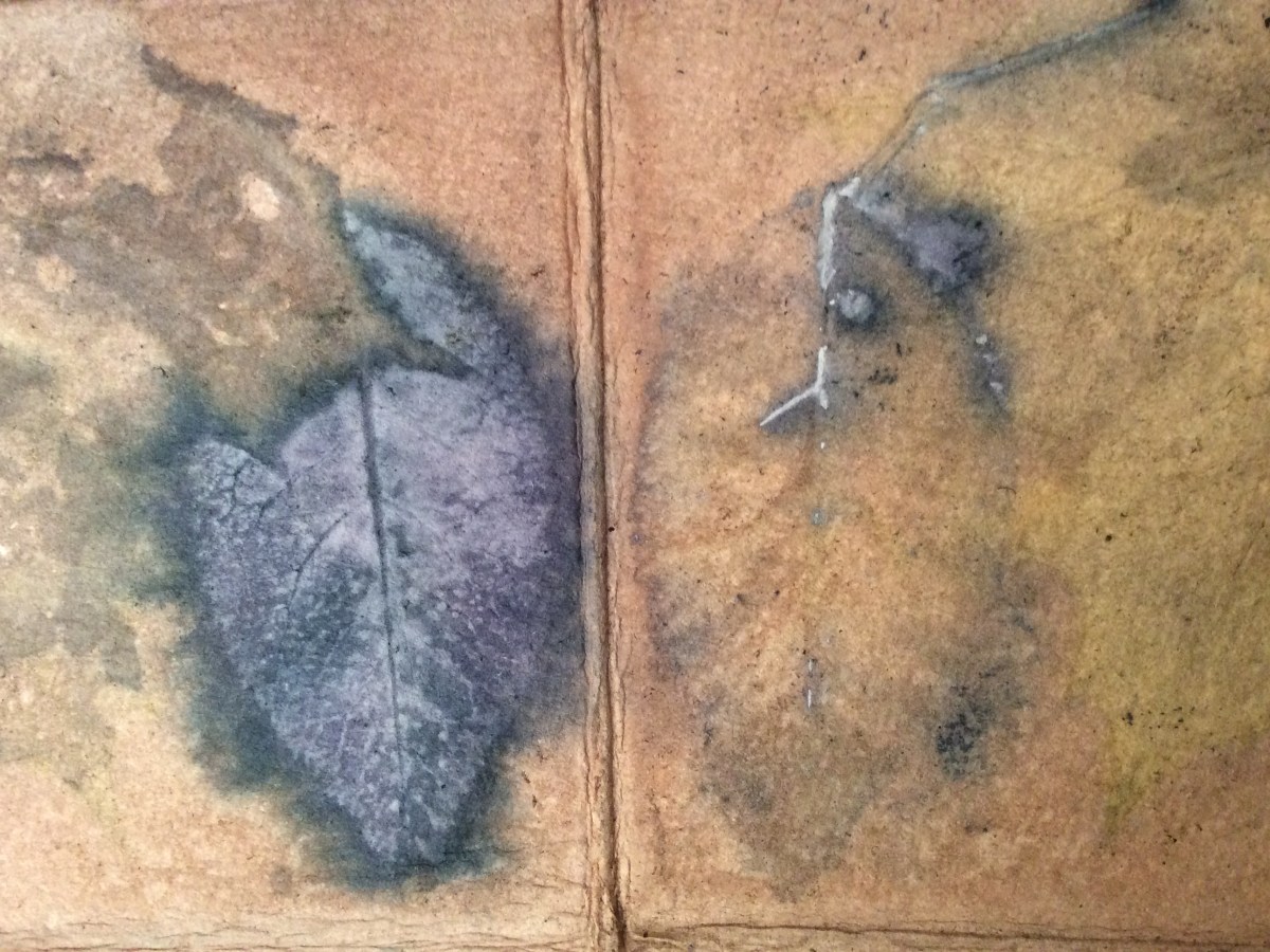 Art from the&nbsp;Garden